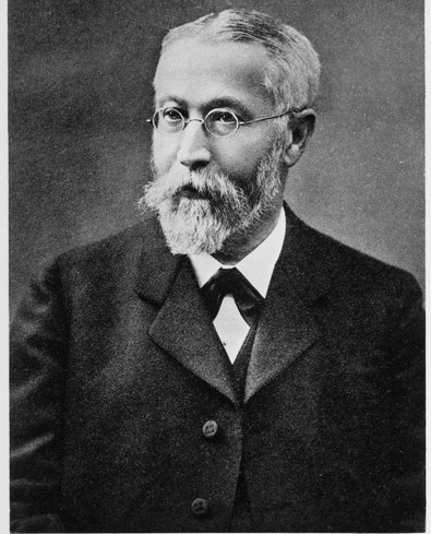 NL_003_Braun.jpg