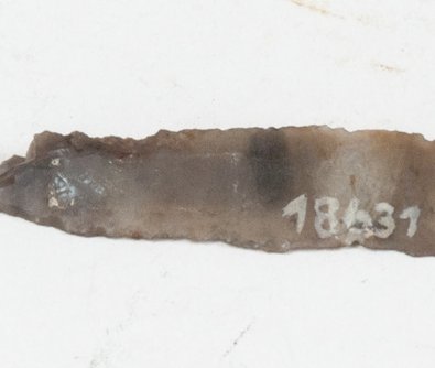 csm_Sammlung_Vorgeschichtliche_Technik_18631_20130723_001.jpg